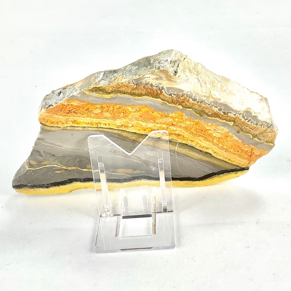 Bumblebee Jasper Polished Slice from Indonesia. - Picture 3 of 6